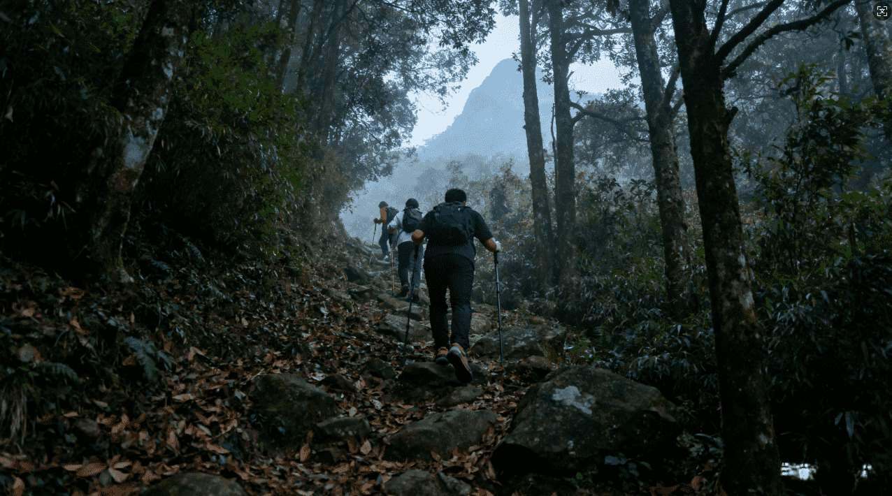 西柚加速器怎样快速提高网络稳定性